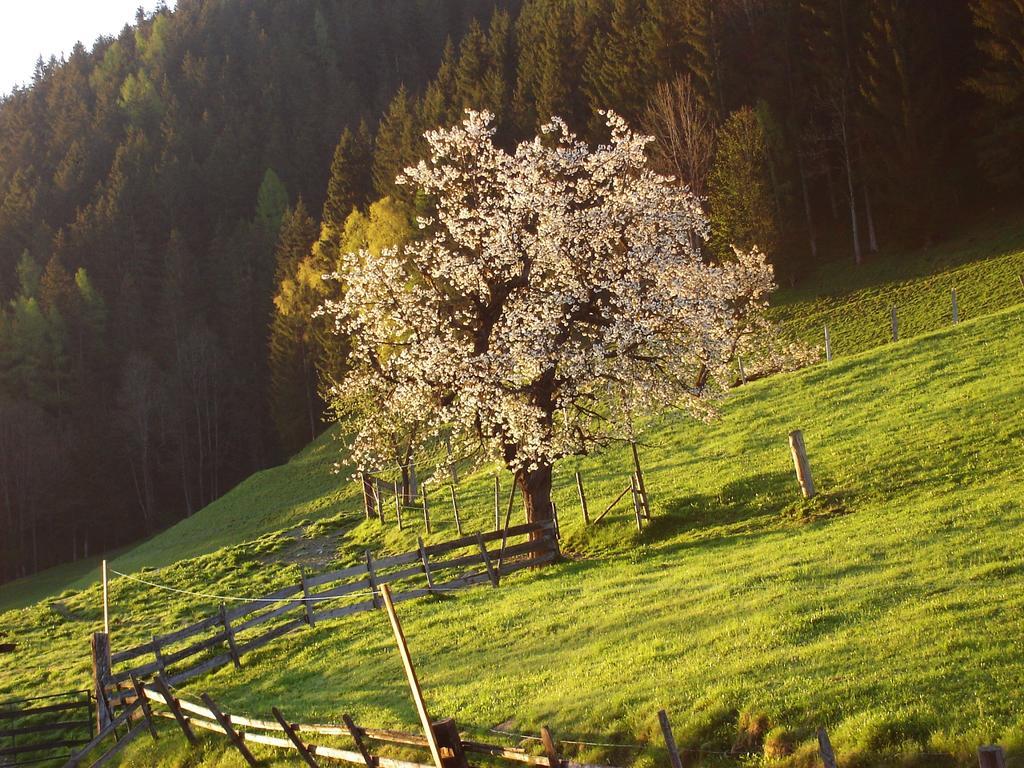 Appartement Greti Schladming Buitenkant foto